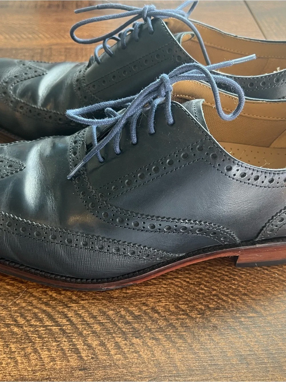 Cole Haan Men's Navy Blue Wingtip Oxfords